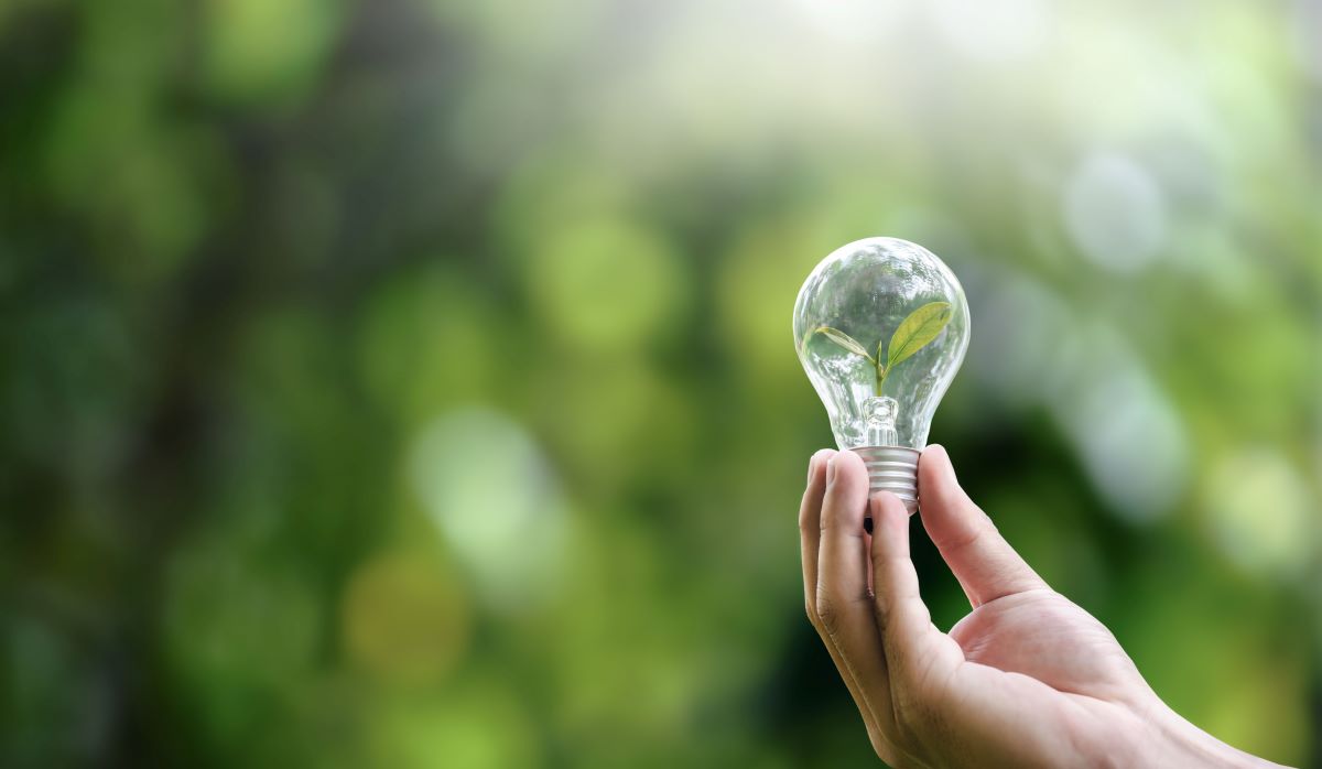 Energiesparen im Haushalt – 10 effektive Maßnahmen