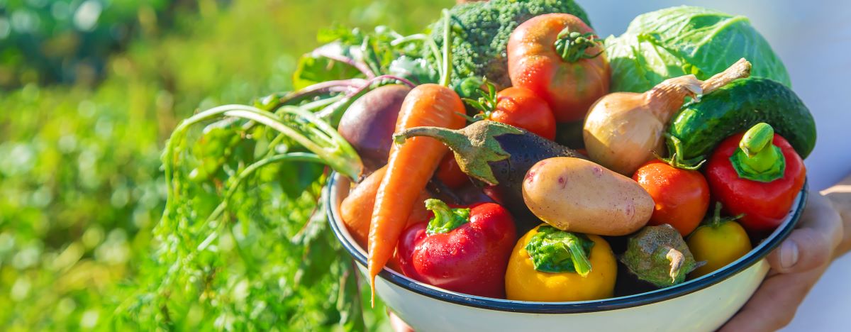 Saisonkalender: Obst & Gemüse das ganze Jahr frisch