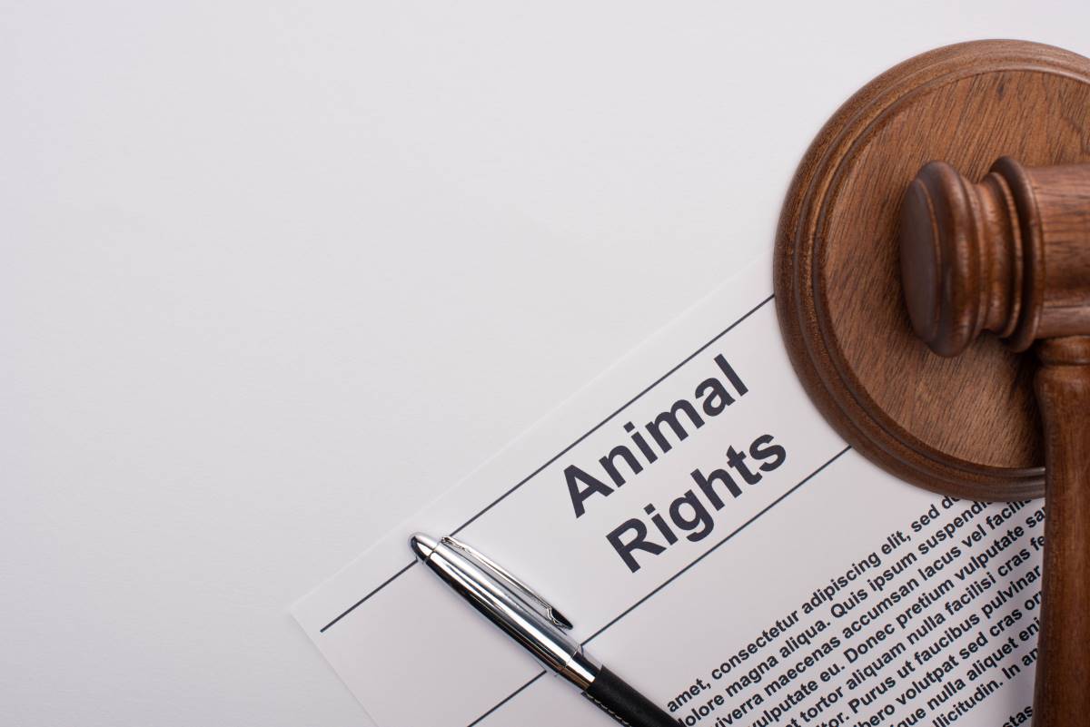 Petition starten in Recklinghausen — so wird deine Forderung
